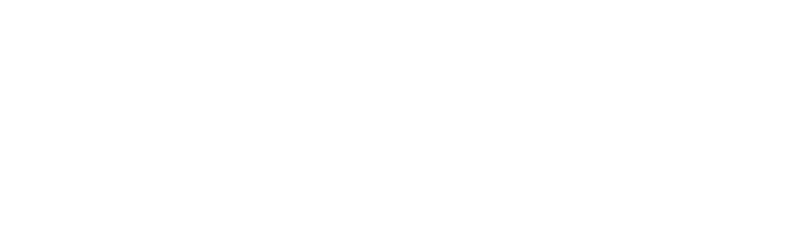 WIRE — Women in Retail and Ecommerce